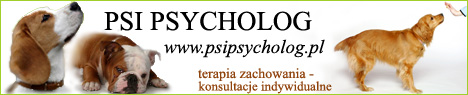 Psi psycholog - banner