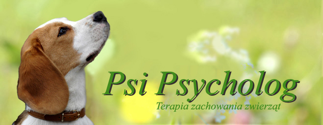 psi psycholog